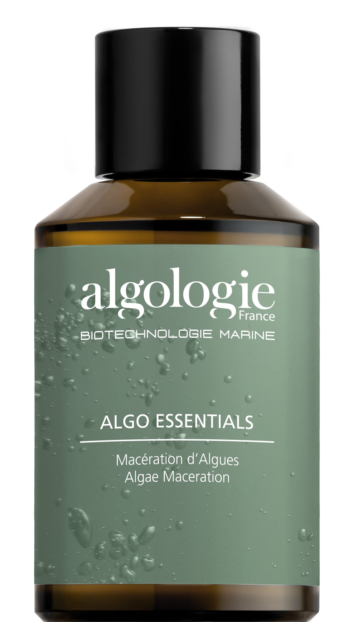 Algae Macération