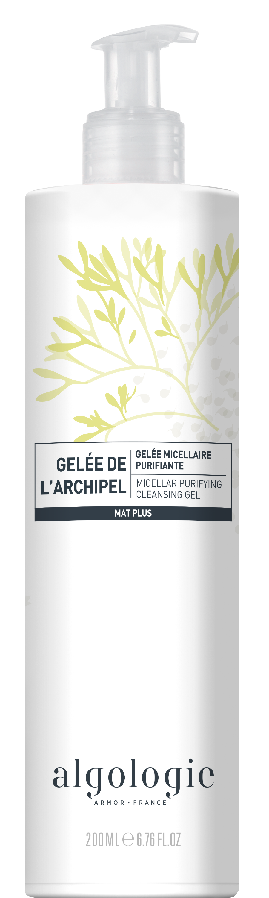 Gelée de l'Archipel